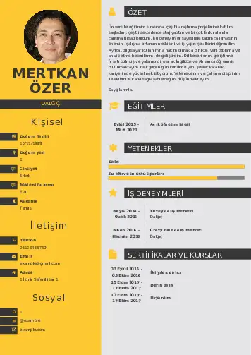 Dalgıç CV Örnekleri cv indir